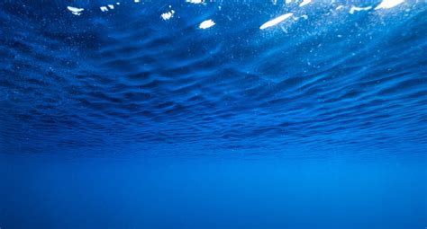 Descubre el significado de soñar con nadar en el mar azul