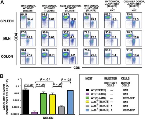 Host Nkt Cells And Donor Cd4 ؉ Cd25 ؉ T Cells Inhibit Accumulation Of