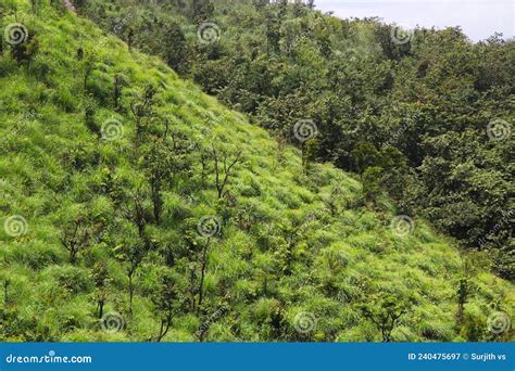 Ramakkalmedu View point stock image. Image of idukki - 240475697