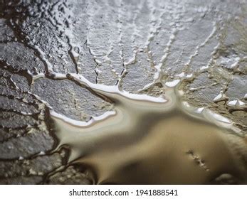 Abstract Black Surface Veins Stock Photo 1941888541 | Shutterstock