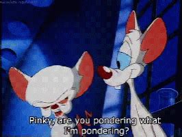 Pinky And The Brain Pinky Are You Pondering What Im Pondering