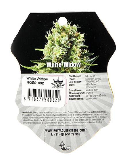 White Widow Royal Queen Seeds 3 Feminisierte Samen 1000seeds