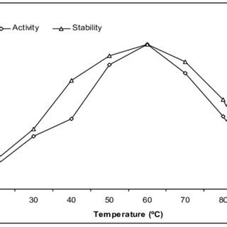 Enzyme Activity And Stability Of Purified Protease From Bacillus Sp