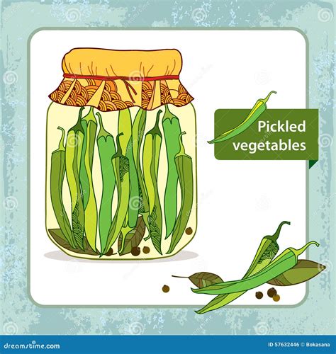 Pickled Green Chili Peppers In The Glass Jar With Bay Leaf And Black Pepper Vector Illustration