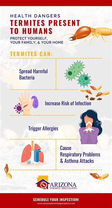 Health Dangers Termites Present To Humans Arizona Termite Specialists