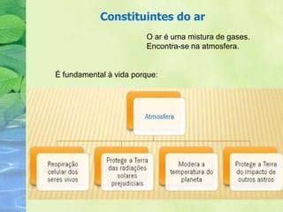 A Importância Do Ar Para Os Seres Vivos - A importância do ar para os seres vivos. | PPTX