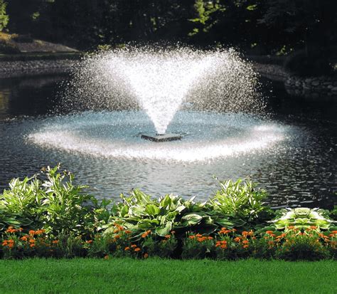 Buy Scott Aerator DA-20 Display Pond Aerator - 1/2 Horse Power 115V ...