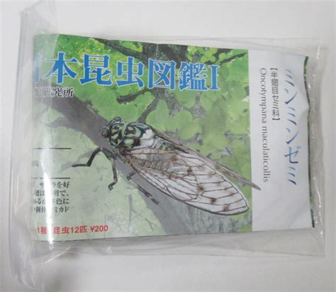 Yahooオークション 原色日本昆虫図鑑Ⅰ ミンミンゼミ