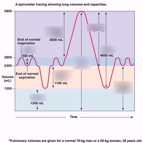 Spirometer Diagram