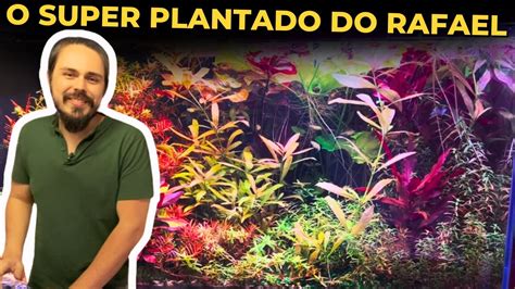 Esse Aqu Rio Parece Uma Floresta M Gica Do Inscrito Rafael Mr Betta