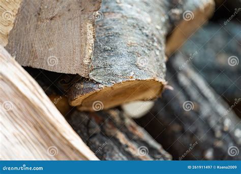 Background Of Chopped Oak Firewood Stock Image Image Of Forest