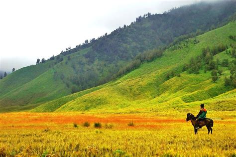 Paket Wisata Malang Batu Bromo Bukit Savanna Teletubbies Gunung Bromo