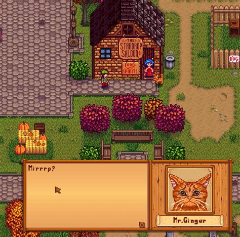 Mister Ginger Cat Npc 1 4 3 Stardew Valley