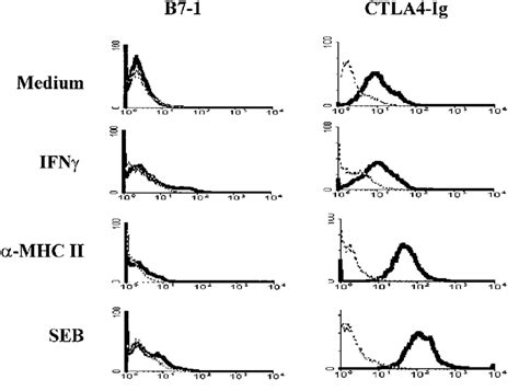 Upregulation Of Costimulatory Molecule Expression By Crosslinking Of