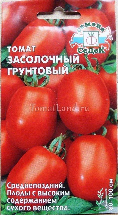 Томат Засолочный грунтовый: описание сорта, отзывы, фото
