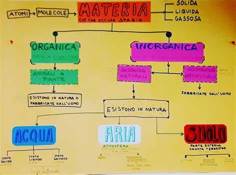 Scienze Classe Terza Archivi La Finestra Sull Albero