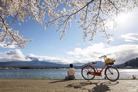 富士山梨賞櫻景點 02河口湖篇：富士山全景纜車、櫻花祭、大石公園文青店 Jrtimes