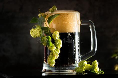 Glass Of Dark Beer With Hops Around On A Dark Background Stock Photo