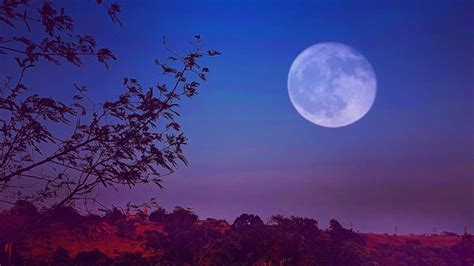 Este Es El Poderoso Ritual Que Debes Hacer Durante La Luna Rosa De