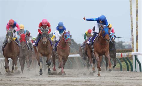 【フェブラリーs】レモンポップg1初挑戦で新ダート王、坂井騎手「僕はただ乗っているだけ」 競馬 日刊スポーツ