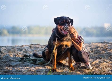 Are Rottweilers Cuddlers