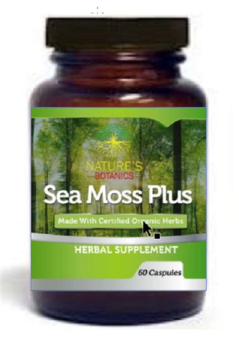 Sea Moss Health Benefits Nutrition Facts And Warning Alga