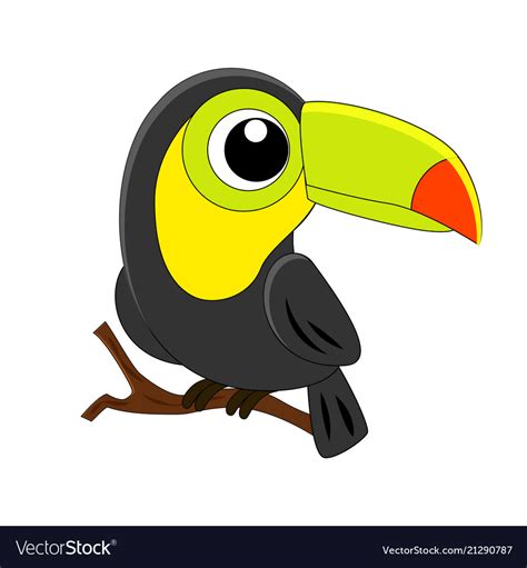 Toucan Cartoon