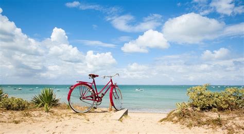 5 Bonnes Raisons De Faire Du Vélo Sur Lîle De Ré