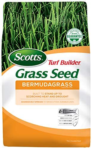 7 Best Grass Seeds for Sandy Soil in 2023 – Taming Sandy Soil Lawn