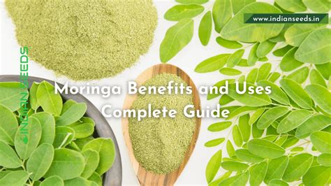 Moringa Amazing Health Benefits And Moringa Powder Use Indian Seeds