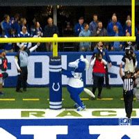 Top Gifs From Week By Nfl Giphy