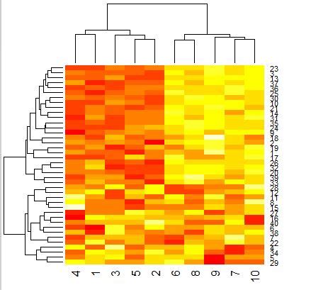 Solved Plotting A Clustered Heatmap With Dendrograms Using Rs Plotly R