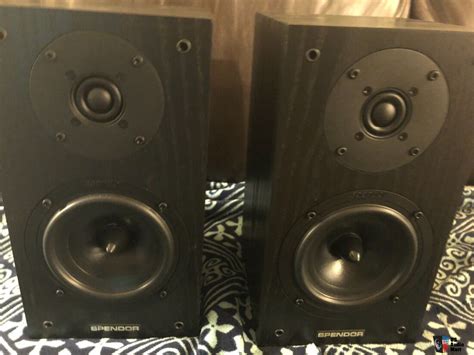 Spendor SP 3/5R2 Photo #4417897 - US Audio Mart