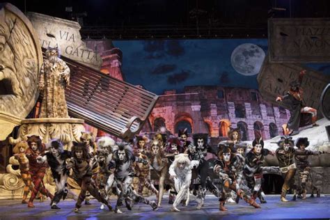 CATS Il Musical Milano Teatro Il Sistina Chapiteau 23 24