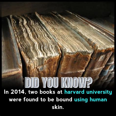 Harvard University Library Books Bound In Human Skin