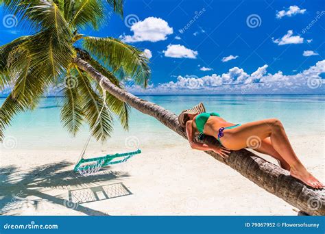 Woman In Bikini Under Palm Tree On Sea Background In Maldives Stock Photo Image Of Dreaming