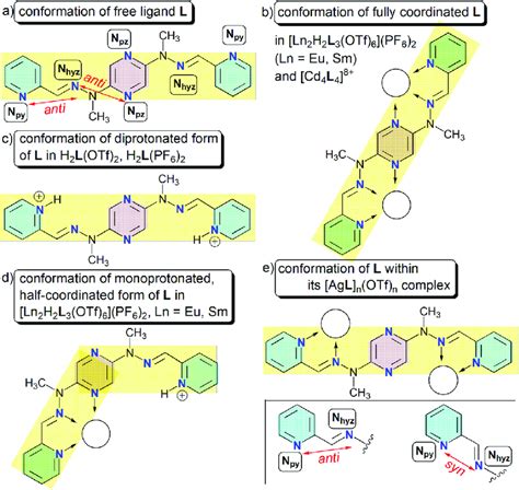 Structural Formulae Of Ligand L Showing The Conformations Linear A