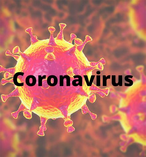 News Flash • Human Coronavirus