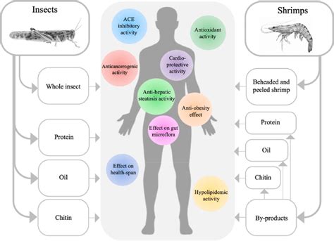 Ways Of Insect And Shrimp Consumptions And Their Potential Health