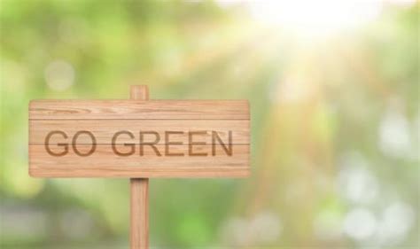 Top Tips To Go Green Express Waste Removal