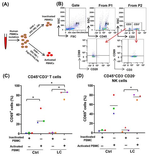 Increased Death And Exhaustion Of Cd69high T Cells And Nk Cells Are