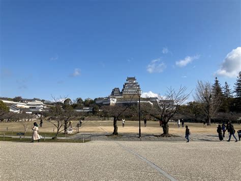 世界遺産・国宝姫路城の桜 開花状況（2024年3月21日現在）【兵庫県姫路市】 はりま男子