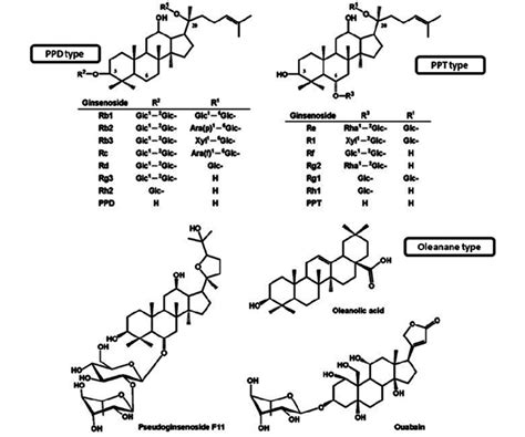 Chemical Structure Of Ginsenosides Download Scientific Diagram