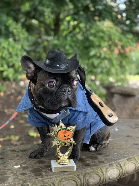 Frenchie Costume: Johnny Cash | Puppies, Johnny cash, Dog costume