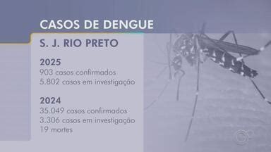 Rio Preto Registra Casos De Dengue Em Rio Preto Sp