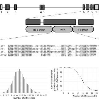 PDF Uneven Distribution Of Complementary Sex Determiner Csd Alleles In Apis Mellifera