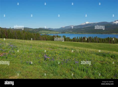 Georgetown Lake, Montana Stock Photo - Alamy