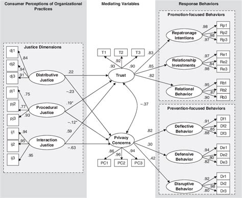 Linking Justice Trust And Concern To Promotive And Preventive