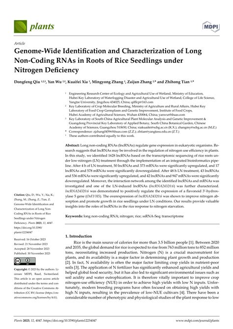 PDF Genome Wide Identification And Characterization Of Long Non