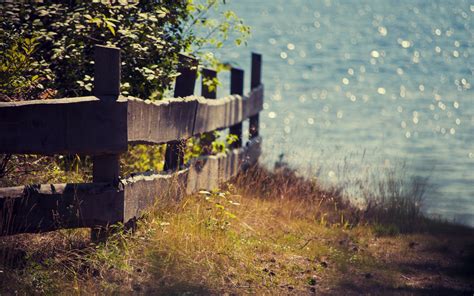 Wallpaper Nature Summer Fence Grass Plants Lake 1440x900